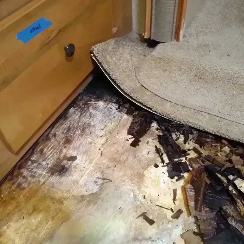 Best Wood Floor Water Damage Service in Vero Beach, FL